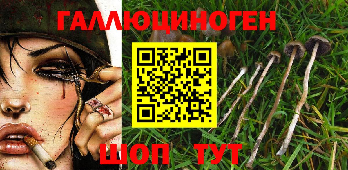 Псилоцибиновые грибы GOLDEN TEACHER Азов