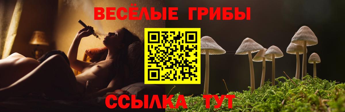 Азов  Псилоцибиновые грибы Psilocybe  Вход с VPN 